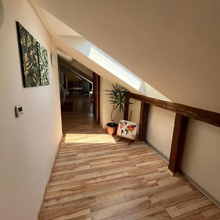 Marini Kosice